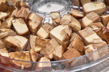 Sliced fresh mushrooms boletus in a vegetable drier close-up