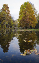 Fototapeta premium Beautiful autumn park with colorful trees and leaves and reflection in artificial ponds.