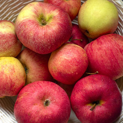 fresh garden apples with water drops, close-up, top view