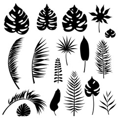 Set of black isolated silhouettes of tropical leaves and plants of different species. Vector illustration