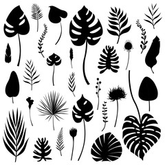 Set of black isolated silhouettes of tropical leaves, grasses and flowers of various kinds. Vector illustration