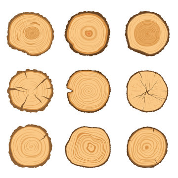 Set of round cross-sections of a tree with a different ring pattern isolated on a white background. Vector illustration