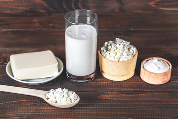 Natural homemade products: milk, cheese, sour cream on old wooden background. With space for your text.
