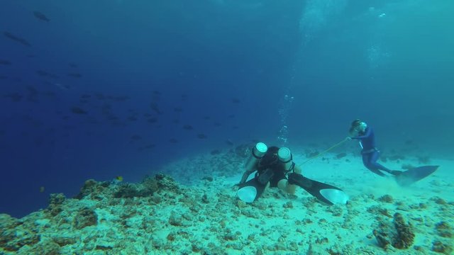 Female freediver and diver sitting on the edge of the reef and looking to deep (Underwater shot, 4K / 60fps)
