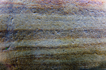 An interesting structure of the stone is photographed close-up.