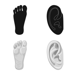Isolated object of human and part symbol. Collection of human and woman stock vector illustration.