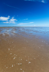 wadden sea