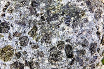 An interesting structure of the stone is photographed close-up.