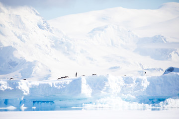 ice in the Antarctica with iceberg in the ocean
