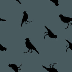 Seamless pattern Crows black silhouette on blue, vector