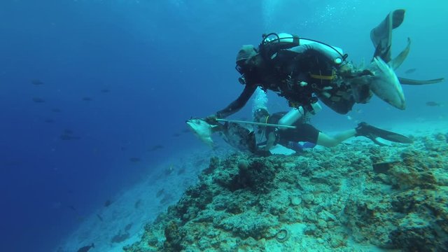 Female freediver and diver sitting on the edge of the reef and looking to deep (Underwater shot, 4K / 60fps)
