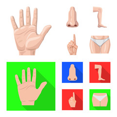 Fototapeta premium Vector design of human and part symbol. Collection of human and woman vector icon for stock.