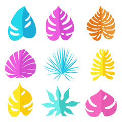 Fototapeta na wymiar Set of colored bright tropical leaves of different types and forms. Vector illustration
