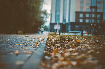 walk through the autumn city - 223155192