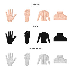 Vector illustration of human and part sign. Collection of human and woman vector icon for stock.