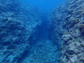 海中写真
