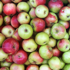 Background of apples
