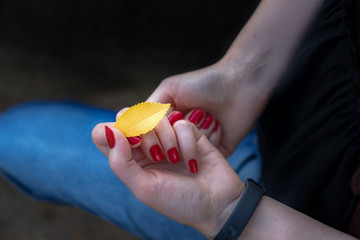 Woman's hands holding yellow leaf on a denim background