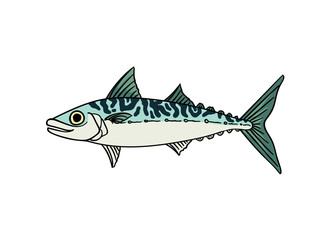 Mackerel fish isolated illustration