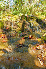 Beautiful green small waterfall in a summer forest.