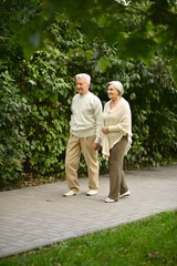 senior couple outdoors walking in the park