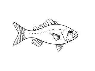 Red snapper fish illustration