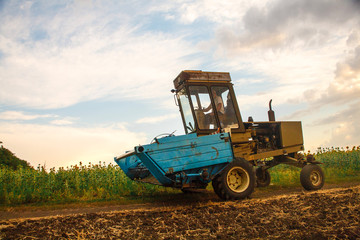 Obraz premium Harvester machine to harvest wheat field working