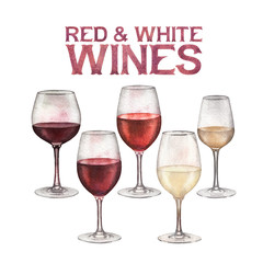 Watercolor glasses of red and white wines isolated on white background