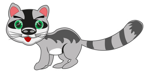 Animal racoon on white background is insulated