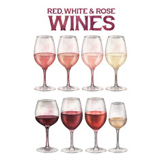 Watercolor glasses of red, rose and white wines isolated on white background