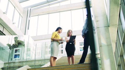 A group of businesspeople standing on the stairs in the modern building, talking. - Powered by Adobe