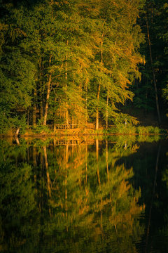 Bäume mit Herbstlaub spiegeln sich im Wasser, Wasserreflexion © Jana Lösch