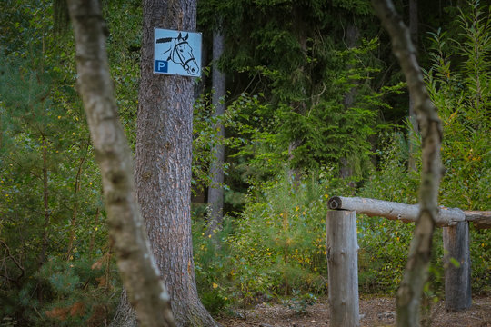 Pferdeparkplatz im Wald