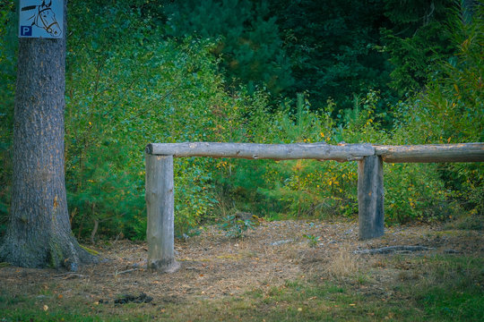 Parkplatz f&uuml;r Pferde im Wald