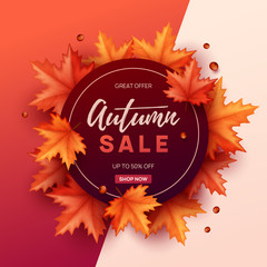 Autumn sale background with colorful leaves. Vector illustration.