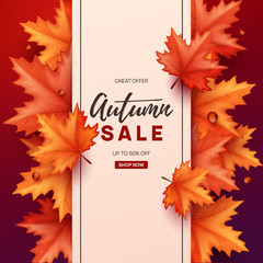 Autumn sale background with colorful leaves. Vector illustration.