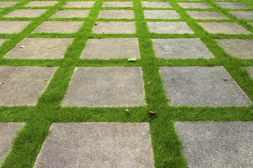Cement walkway on green lawn.