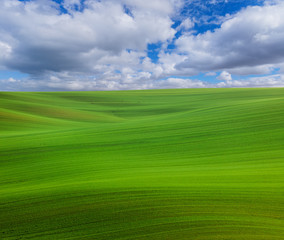 Famous moravian fields - Czech Republic