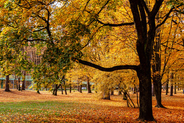 Park Zwierzyniecki w Białymstoku