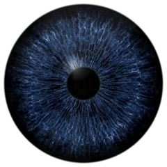 Dark scary blue eyeball, animal and human eye, dog and cat eyeball, isolated on white background, black pupil
