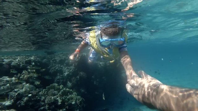 Little boy in mask and snorkel is swim next to a coral reef and look at on tropical fish (underwater view, 4K / 60fps)
