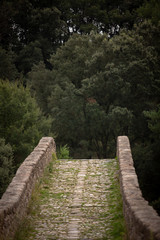 Pont de Pedret, Cercs