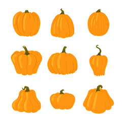 Set of simple yellow pumpkins. Different shapes isolated on white background.
