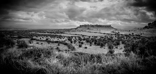 Sardena in Bianco e Nero