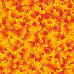 Autumn leaves background design template. Yellow fall orange vector texture