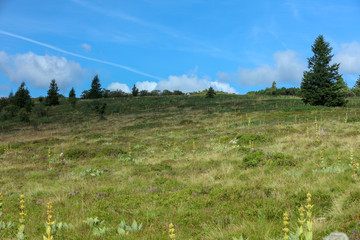 Gazon de Faing Vogesen Elsass Frankreich