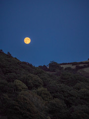 Full moon oder Landscape