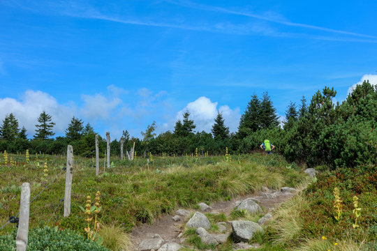 Gazon de Faing Vogesen