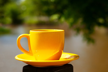 Yellow tea pair under the branches of trees. Tea on the background of a summer river and trees. Relax with a cup of tea in the nature.