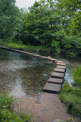 Stepping stones across the river